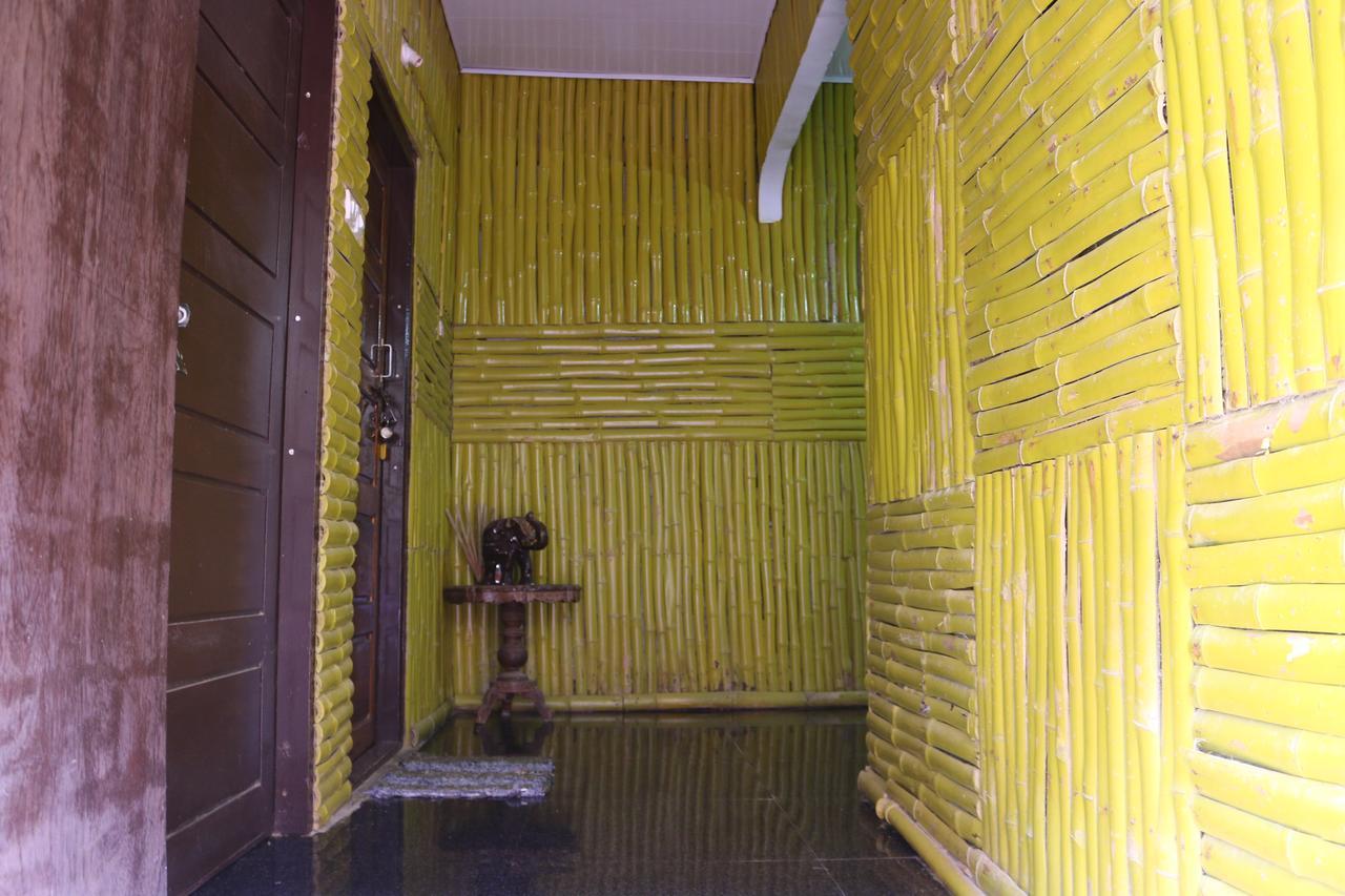 Mummy Bamboo House 호텔 바르칼라 외부 사진